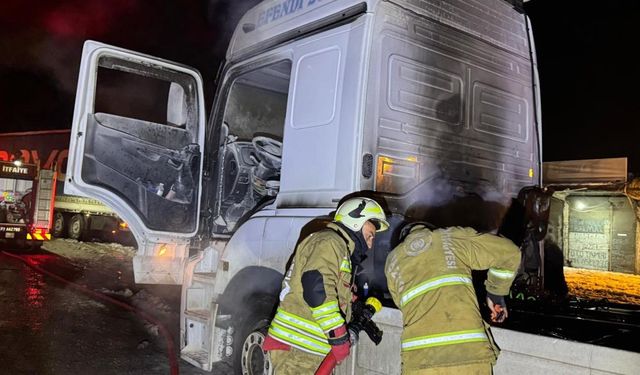 Cizre’de seyir halindeki TIR alevlere teslim oldu