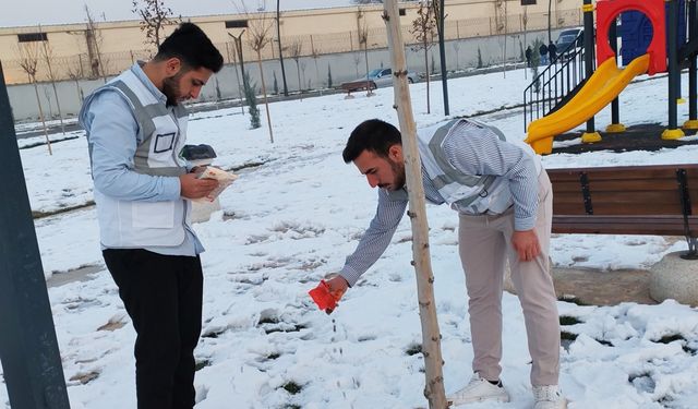 HÜDA PAR Batman Gençlik Kolları sokak hayvanlarını unutmadı