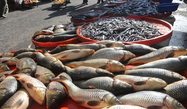 Diyarbakır'da balık tezgâhlarında bereket