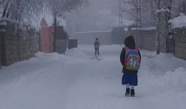Bingöl’de kar yağışı nedeniyle okullar tatil edildi