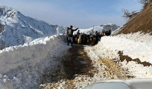Karlıova’nın adına yaraşır kar yağışı devam ediyor
