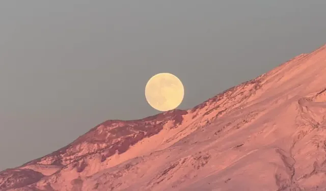 Kars'ı üzecek haber geldi! 7 ilçesinde birlikte olacak