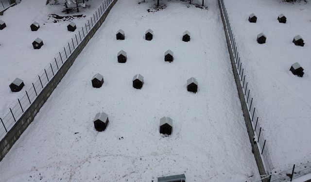 Malatya'nın ikinci hayvan barınağı hizmete başladı