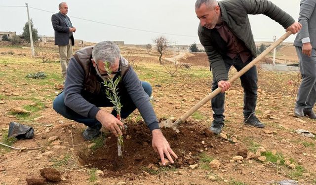 Mardin'in bu mahallesi "sıfır atık köyü" olma yolunda ilerliyor