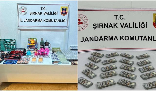 Şırnak’ta milyonlarca liralık kaçak ürün ele geçirildi