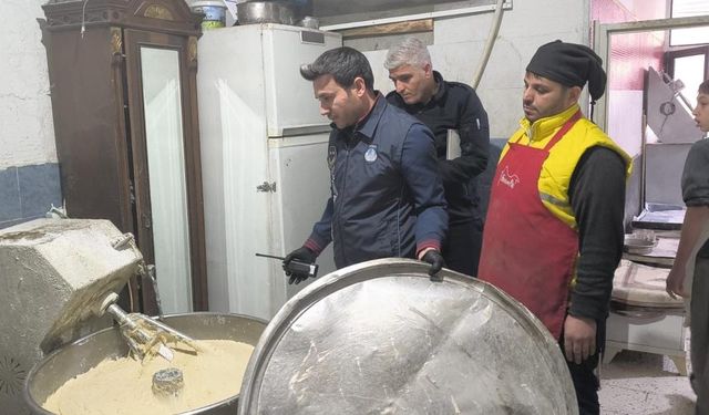 Şanlıurfa'da fırında hijyen skandalı: Tezgahta kedi fare oyunu
