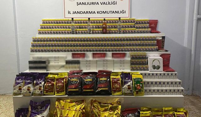 Şanlıurfa'da jandarmadan kapsamlı operasyon