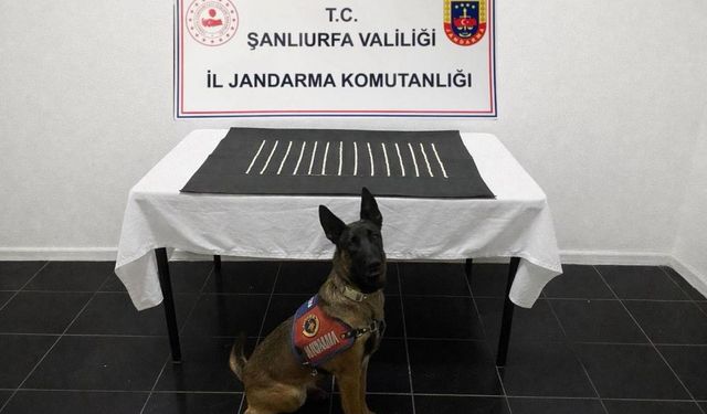 Şanlıurfa'da narkotik operasyonu: 2 gözaltı