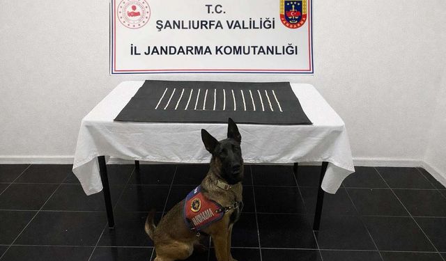 Şanlıurfa’da uyuşturucu operasyonu: 664 adet captagon ele geçirildi