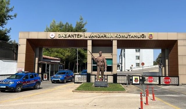 Gaziantep'te 215 kök kenevir ele geçirildi: 1 gözaltı