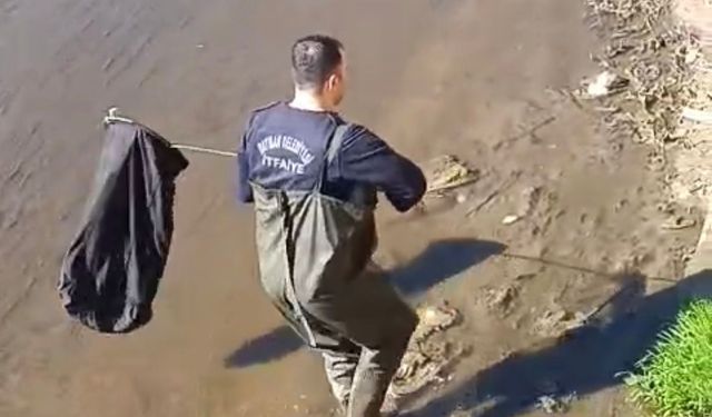 Batman'da itfaiye ekipleri dereye düşen horoz için seferber oldu