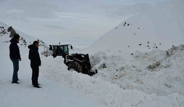 Beytüşşebap'ta kar kalınlığı yer yer 3 metreyi buldu