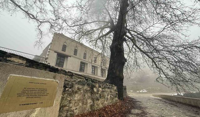 Diyarbakır'daki 486 yıllık tarihi cami sis içinde kaldı