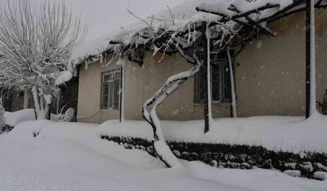 Şırnak'ın iki ilçesinde kar yağışı etkili oldu