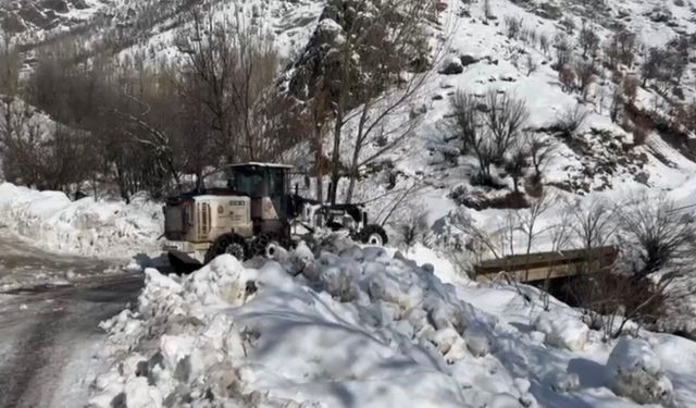 Şırnak'ta karla mücadele çalışmaları devam ediyor