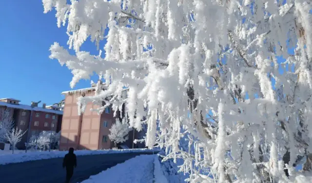Bingöl’de 7 günlük hava durumu: Eksi 8 dereceyi görecek