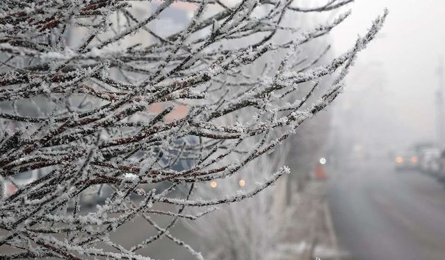 Bingöl’de 7 günlük hava durumu: Soğuk hava etkisini artırıyor