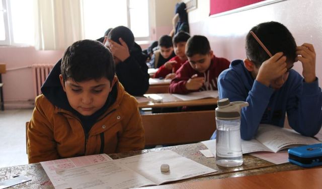 Diyarbakır Ergani'de siyer yarışması heyecanı