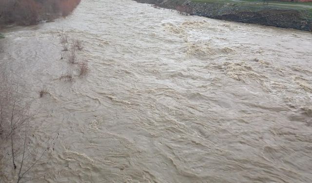 Diyarbakır'da Kulp çayı taştı: Yerleşim yerleri için uyarı