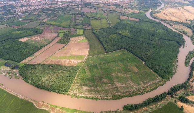 Diyarbakır'da yüzlerce tarafı bulunan 69 yıllık dava nihayet karara bağlandı