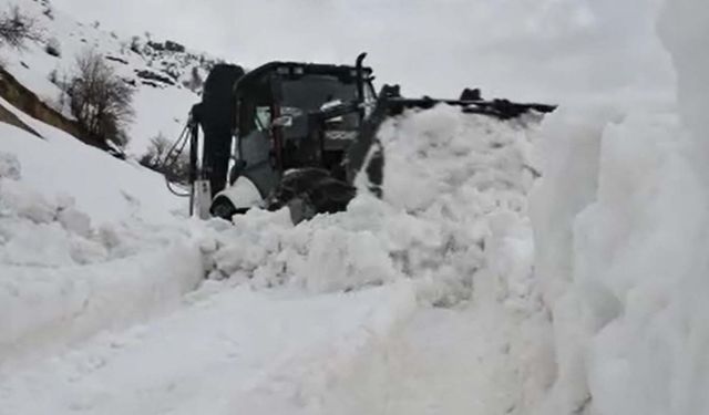 Şırnak'ta 5 bin nüfuslu beldenin alternatif yolu 60 gündür kapalı