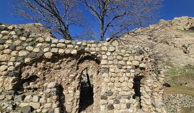 Kürt edebiyatının önemli ismi Feqiye Teyran Medresesi yok olma tehlikesiyle karşı karşıya