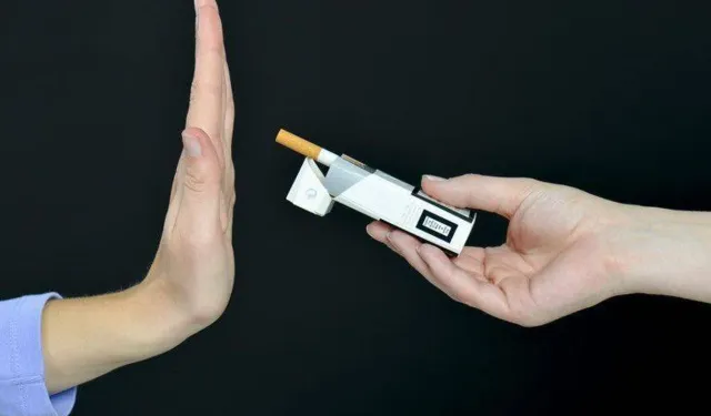 Bakan Memişoğlu: Başvurular yüzde 60 arttı