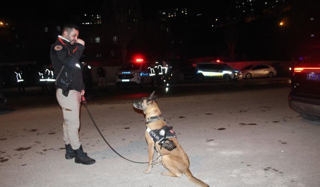 Şırnak’ta 700 polisle "Narko Alan" uygulaması