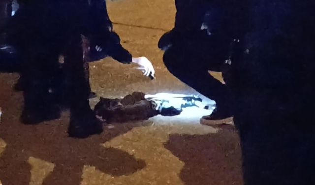 Uzun namlulu silahla rastgele ateş açan şahıs tutuklandı