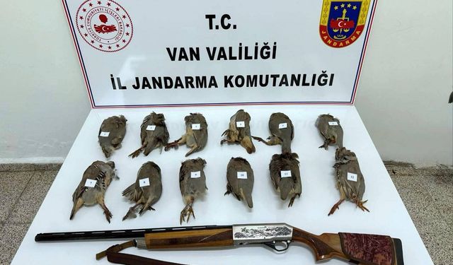 Van'da keklik avlayan kişiye 81 bin lira para cezası