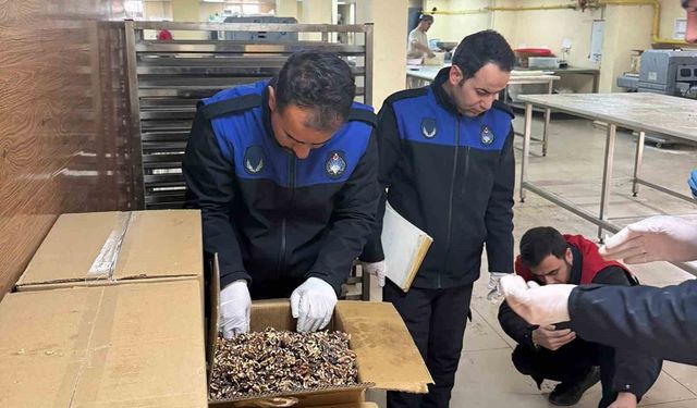 Şanlıurfa'da 180 kilogram küflenmiş ceviz ele geçirildi