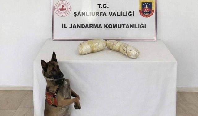 Şanlıurfa'da 2 kilogram sentetik ele geçirildi: 2 gözaltı
