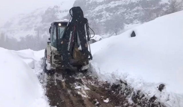 Şırnak'ta yağan kar, yolları kapattı