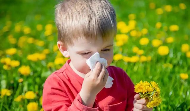 Bahar aylarında alerjik burun tıkanıklığı şikayetleri artıyor