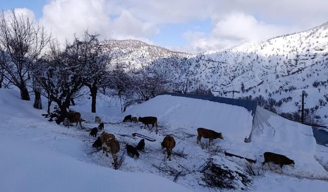 Batman'da Mart ayında kar sürprizi