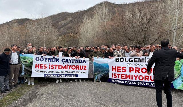 Bingöl’de HES tepkisi: Çocuklarımızın yarınlarını karartmayın