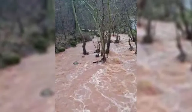 Burası Diyarbakır! Dere taştı, yol ve tarlalar sular altında kaldı