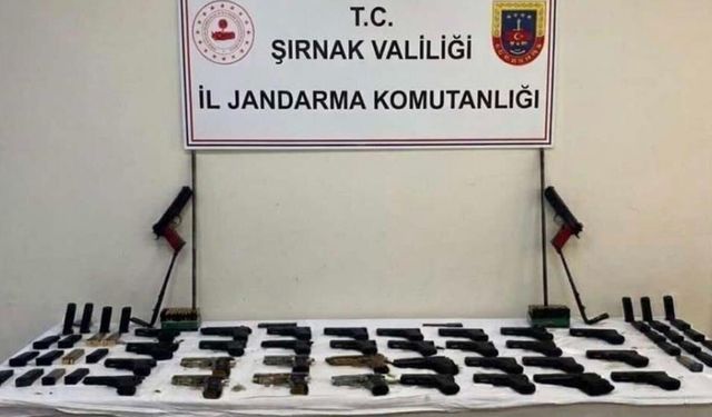 Şırnak'ta silah, kaçakçılık ve asayiş operasyonları: 14 tutuklama