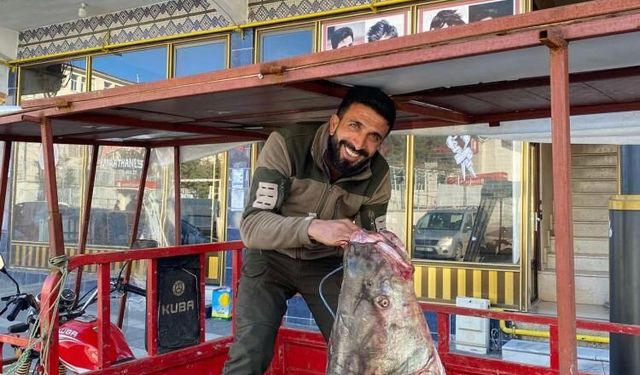 Diyarbakır'da 100 kiloluk dev turna balığı yakalandı