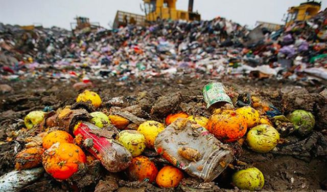Dünya genelinde üretilen gıdanın üçte biri çöpe gidiyor
