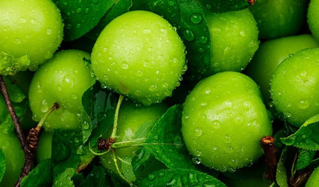 Baharın habercisi cep yakıyor: Eriğin tane fiyatı duyanları şoke etti