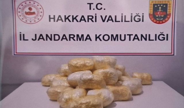 Hakkari’de durdurulan tırda 15 kilo metamfetamin ele geçirildi