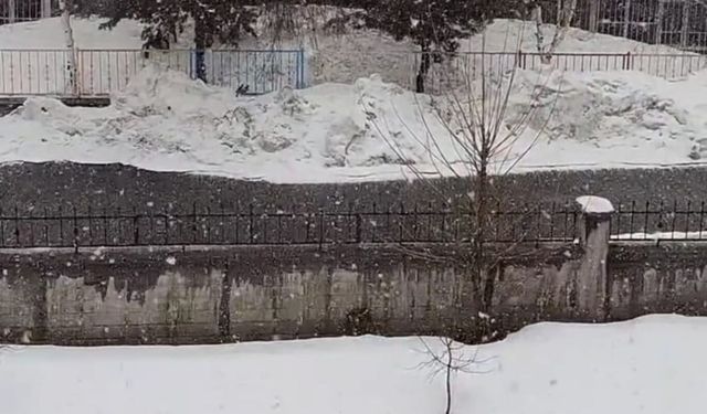 Karlıova beyaza büründü