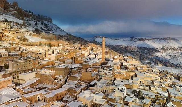 Mardin'de iş yerinde ölü bulundu