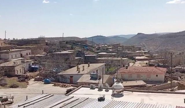 Mardin’de kuduz şüphesiyle bir mahalle karantinaya alındı