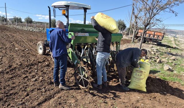 Gaziantep'te nohut ekimine başlandı