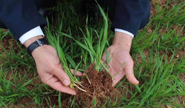 Yağışlar yüzde 150 arttı, Hasılat beklentisi yükseldi