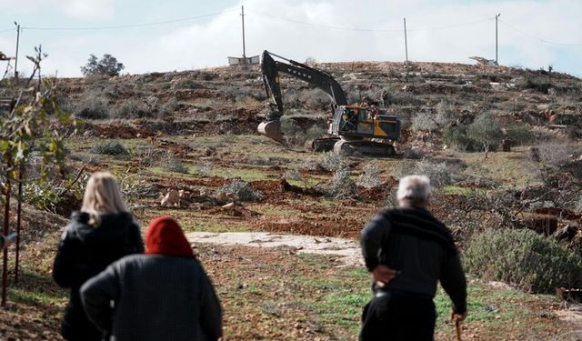 Yüzlerce zeytin ağacı işgalciler tarafından kesildi: "Güvenlik alanı" hazırlığı