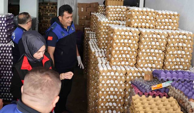 5 bin koli yumurta imha edildi