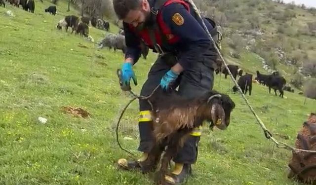 Adıyaman'da kuyuya düşen keçiyi itfaiye kurtardı